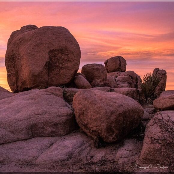 Some Amazing JT sunsets! - Picture 10 of 16